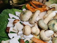 铜锅野生菌-老滇山寨•云南特色菜•地方菜•民族风情歌舞表演(金碧店)