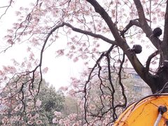-红星桥(地铁站)