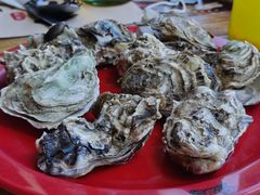 -好伦哥(温都水城店)