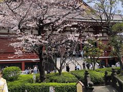 -浅草寺