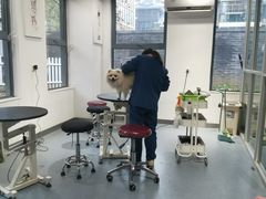 -奈斯宠物医院·核磁CT·异宠专科·内镜(中南店)