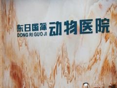 -东日国际动物医院·CT·心脏专科(桃源分院)