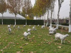 -九十九顶毡房(阜石路店)