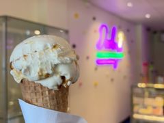 -Dooley's Premium Ice Cream