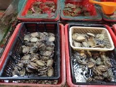 -都斛海鲜街