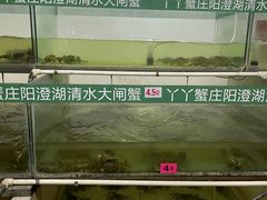 -丫丫蟹庄·苏式园林农家乐·阳澄湖大闸蟹(阳澄湖莲花岛店)