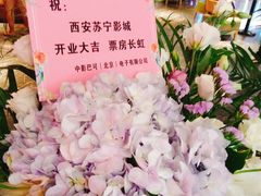-苏宁影城