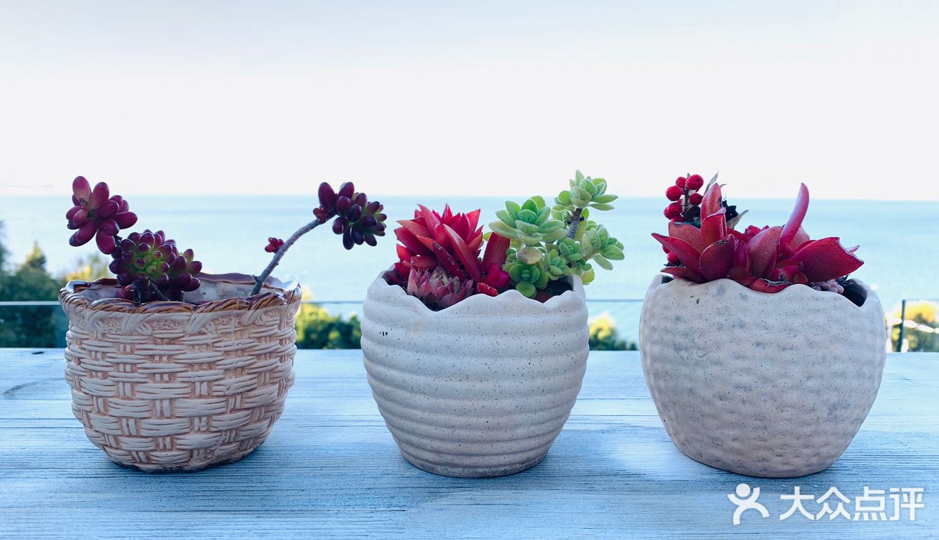 想和你在丽江的街头走一走