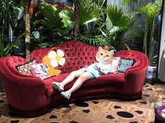 -GUCCI(沈阳万象城店)