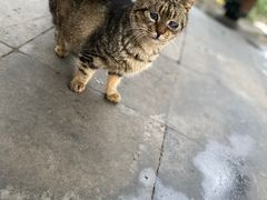 -静安公园(静安寺街道)