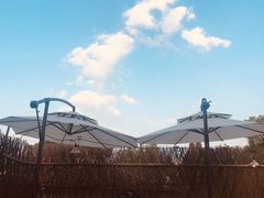 -毛辣果·酸(OHA复兴西路店)