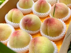 -老袁家蜜桃农场·阳山水蜜桃