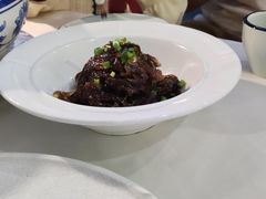 -云中小雅