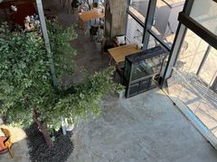 -了不起的考拉咖啡店(高新店)