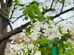 -北京鲁迅博物馆(北京新文化运动纪念馆鲁博馆区)