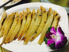 -瑞记湛江鸡饭店·粤西第一鸡(粤垦店)