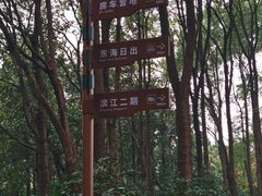 -上海滨江森林公园