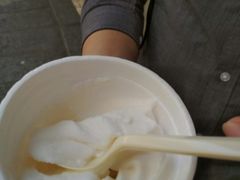 -洪馨椰子