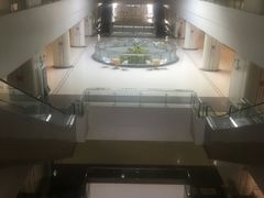 -南方医科大学深圳医院