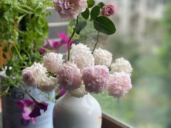 -苏州香山国际大酒店