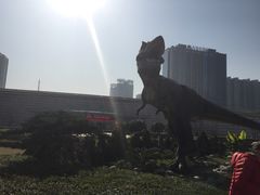 -陕西自然博物馆