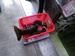 -蚝专家(北滘店)