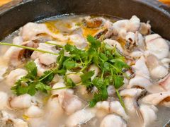 -大鼎石锅鱼(春江里店)