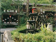 -青城甲(青城山店)