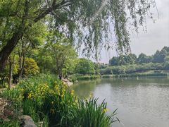 -南山风景名胜区