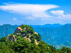 -六里坪国家森林公园