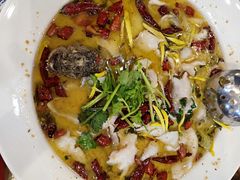 -花溪雨·森林餐厅(石基店)
