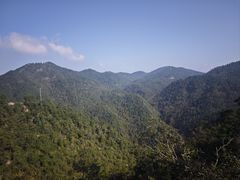 -四明山国家森林公园