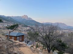 -老张烤羊(王哥庄店)