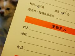 -瑞派长江宠物医院·猫科·外科·24小时夜护(谊城公寓分院)