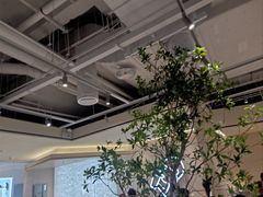 -喜茶(深圳东门1234店)
