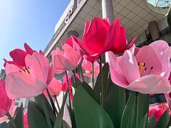 -西北轻工批发市场