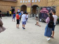 -大塘金香草谷