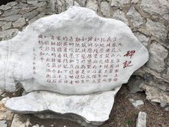 -原山国家森林公园