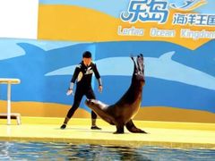 -秦皇岛乐岛海洋王国