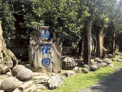 -云南勐巴娜西珍奇园