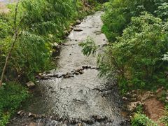 -羊山湖公园