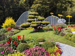 -上海共青森林公园