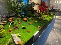 -外滩·云南人家(昆明旗舰店)