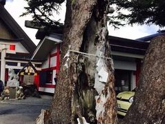 -富士山吉田線五合目