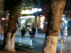 -皇冠幸福里动物奶油生日蛋糕(中山大道二中店)