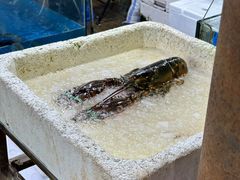 -塔湾北行农贸市场