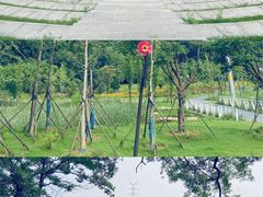 -佛手湖郊野公园