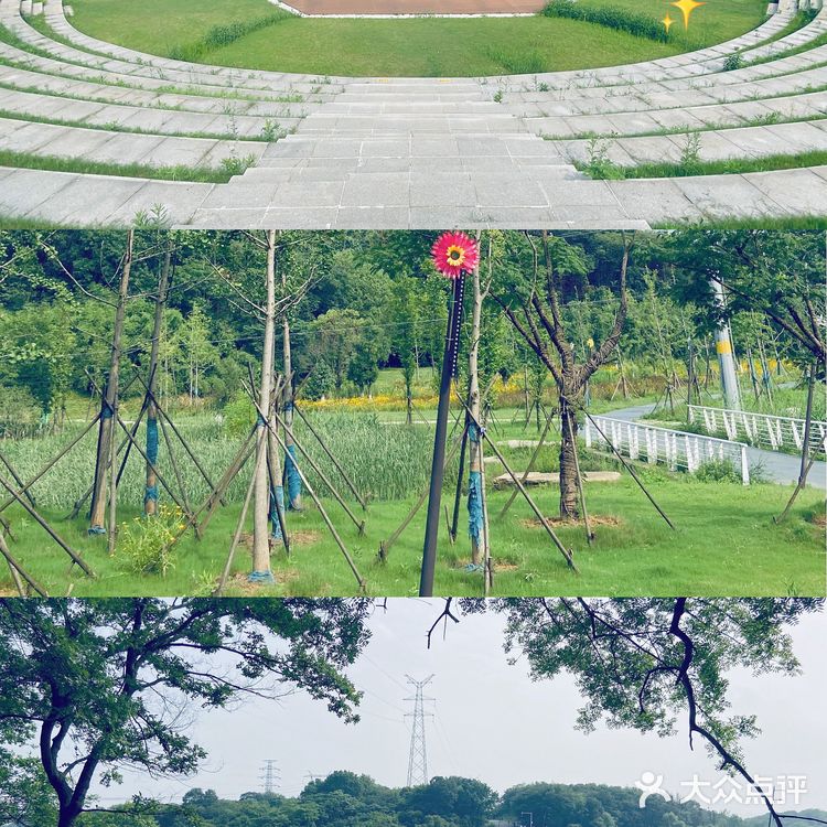 南京佛手湖公园✨～0⃣️元郊野公园