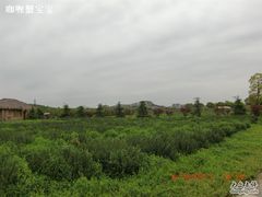 CIMG1727-苏州太湖西山岛开心农场