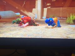 -网鱼网咖·vision pro(黄浦人民公园店)